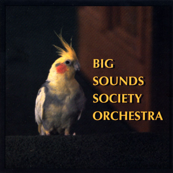 Big Sounds Society Orchestra