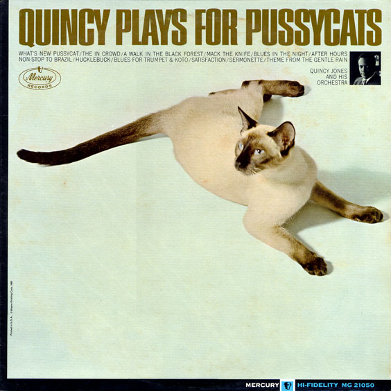Quincy Plays For Pussycats