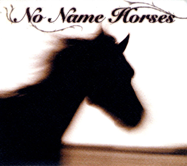 No Name Horses